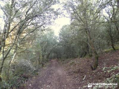 Hoces Río Riaza - Villa Ayllón; rutas de senderismo en la sierra de madrid